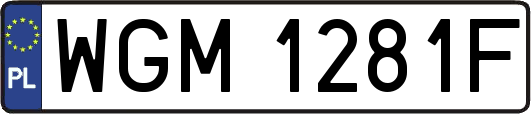 WGM1281F