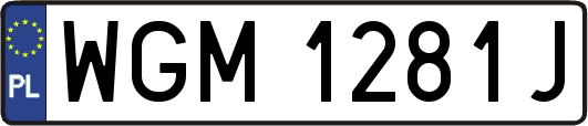WGM1281J