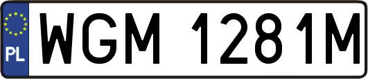 WGM1281M