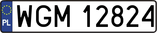 WGM12824