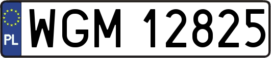 WGM12825