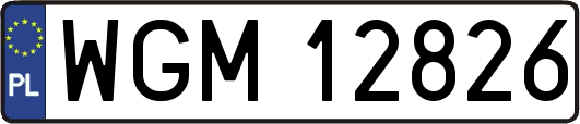 WGM12826