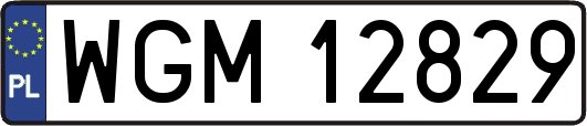 WGM12829