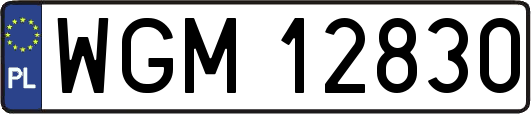 WGM12830