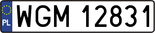 WGM12831