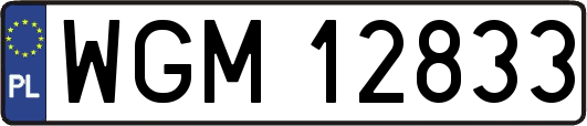 WGM12833