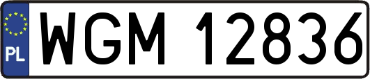 WGM12836