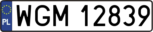 WGM12839