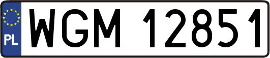 WGM12851