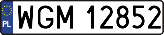 WGM12852