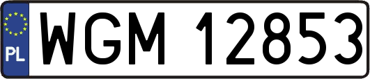 WGM12853