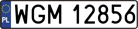 WGM12856