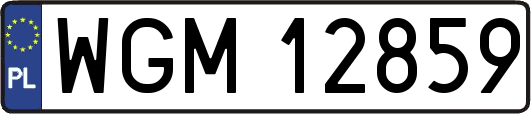 WGM12859