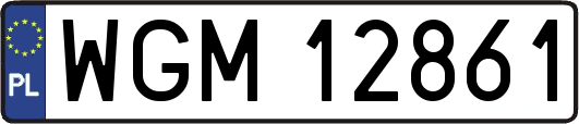 WGM12861