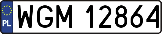 WGM12864