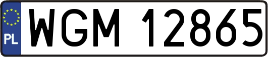 WGM12865