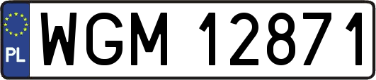 WGM12871