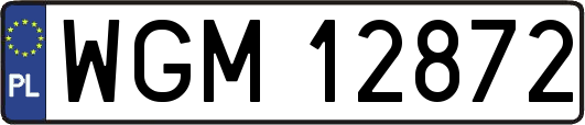 WGM12872