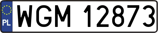 WGM12873