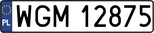 WGM12875