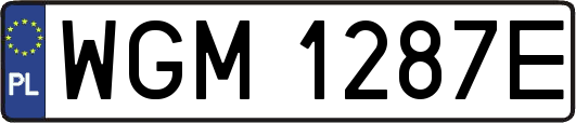 WGM1287E