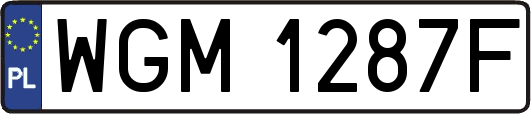 WGM1287F