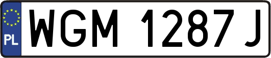 WGM1287J