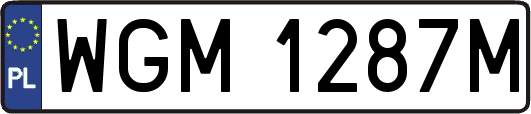 WGM1287M
