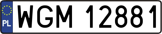 WGM12881