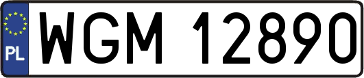 WGM12890