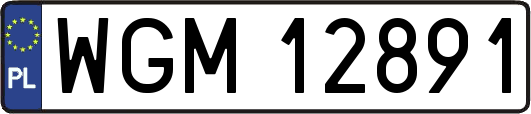 WGM12891