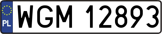 WGM12893