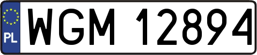 WGM12894