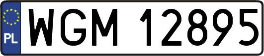 WGM12895