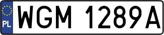 WGM1289A