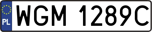 WGM1289C