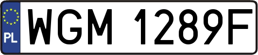 WGM1289F