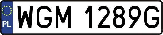 WGM1289G