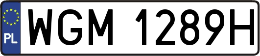 WGM1289H