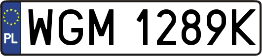 WGM1289K