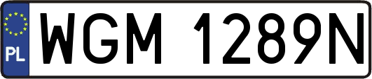 WGM1289N
