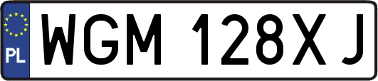 WGM128XJ