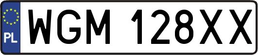 WGM128XX