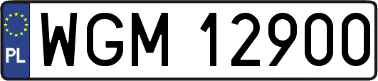 WGM12900
