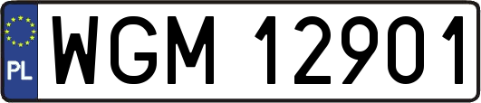 WGM12901