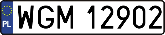 WGM12902