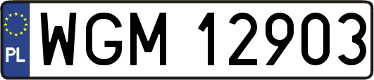 WGM12903