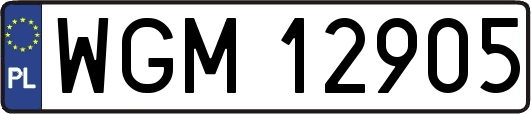 WGM12905