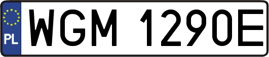 WGM1290E