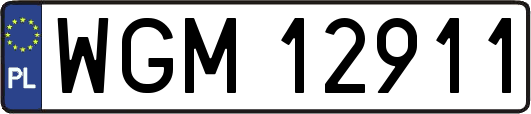 WGM12911